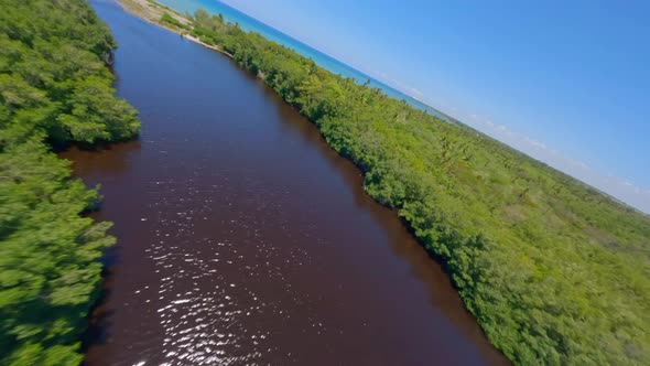 Aerial drone fpv over mangroves and mouth of river at San Pedro de Macoris in Dominican Republic