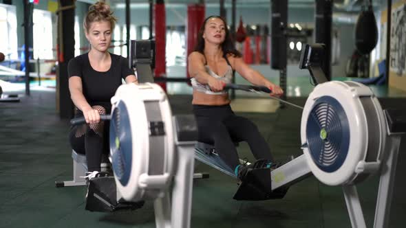 Wide Shot Portrait of Two Confident Concentrated Sportswomen Working Out on Gym Pull Machine Indoors
