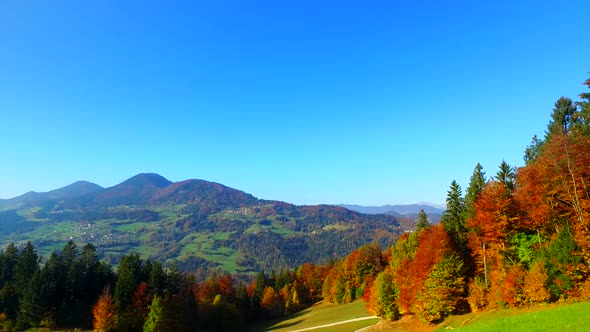 Beautiful Day in the Autumn Forest and Valley