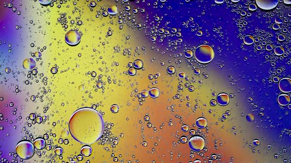 Abstract Colorful Food Oil Drops Bubbles and spheres Flowing on Water Surface