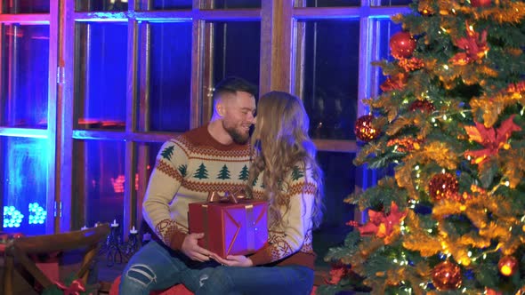 Couple in love near Christmas tree.