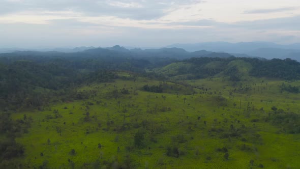 Aerial view of national park green field mountains in Thung Yai Naresuan Wildlife Sanctuary,