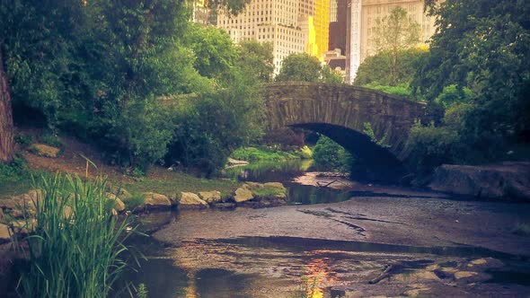 View from the surreal nature of Central Park's lakes and ponds, to the tall skyscrapers a short dist