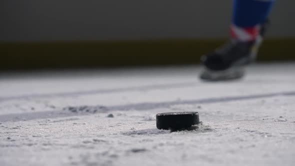 Focus on the Black Hockey Puck Lying on the Ice of the Rink