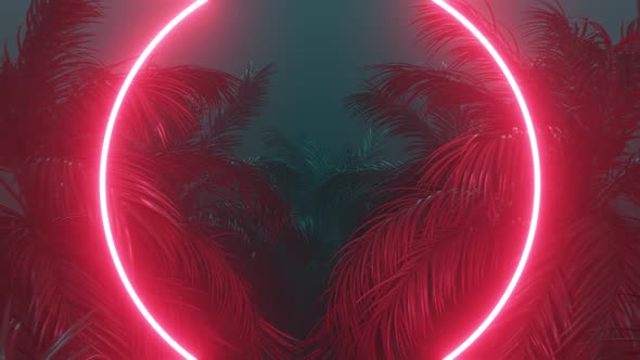 Retrowave Glowing Rectangle Frame Appears in the Tropical Palm Tree Zoom Out alt