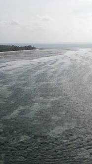 Vertical Video of Low Tide in the Ocean Near the Coast of Zanzibar Tanzania