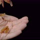 Raisins are Poured Into the Hand on a Black Background - VideoHive Item for Sale