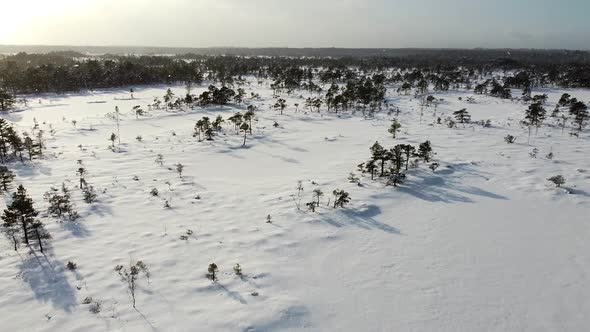 Magical aerial drone view of a frozen and snow-covered bog landscape in winter while it is snowing.