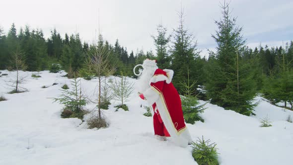 Santa walking in the snow