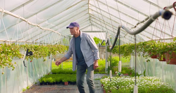 Confident Male Gardener Examining Potted Flower Plant