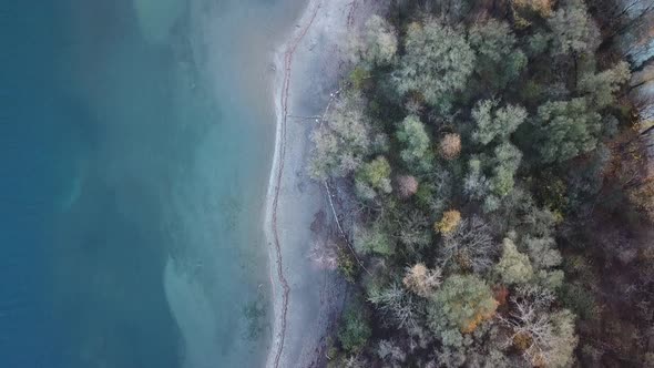 Birds eye view on a white coast with trees along a crystal blue lake with different shades of blue