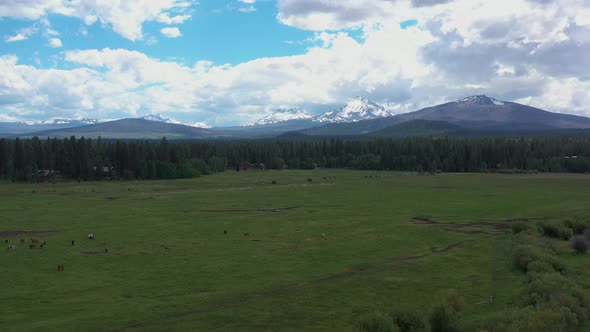 Scenic landscape in rural Oregon as horses graze on farmland near snow capped mountains.