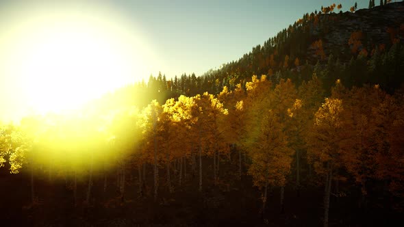 Bright Sunset in the Mountains