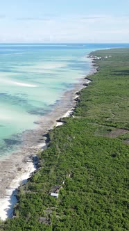 Vertical Video of Low Tide in the Ocean Near the Coast of Zanzibar Tanzania