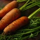 Nice Carrots with Haulm on the Black Rustic Background - VideoHive Item for Sale