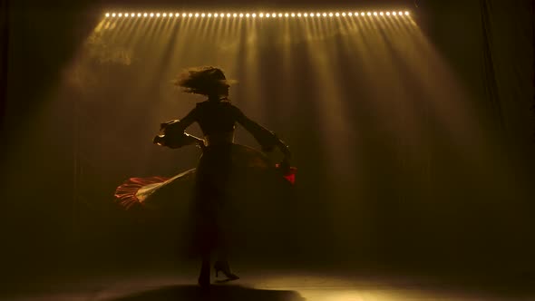 Silhouette of a Slender Attractive Girl Dancing in a Gypsy Costume. The Girl Is Whirling in a Dance