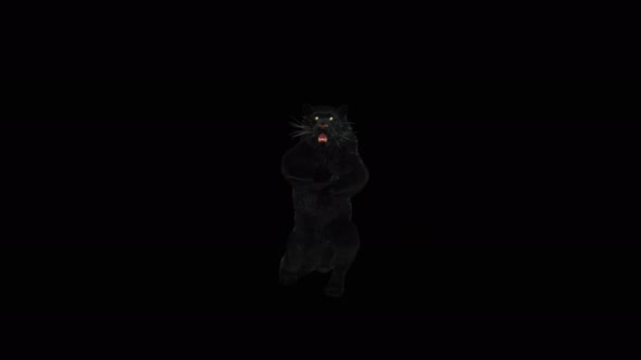 76 Panther Standing Magic Attack 4K