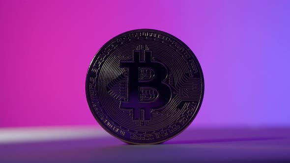 Bitcoin in Shadow and light. Cryptocurrency bitcoin and Pink Blue color light mood tone.