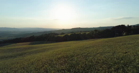 Country Road in Tuscany During Sunlight