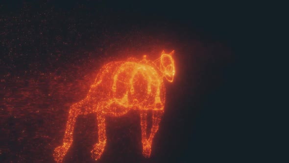 Horse Running With Particles Hd