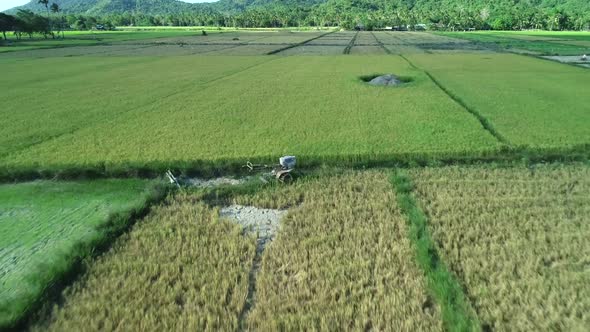 Aerial View of Green Rectangles Rice Fields on Sunny Day