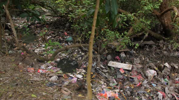 Environmental Pollution Ecological Problem Concept. Huge Dump in Tropical Mangrove Tree Forest