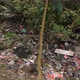 Environmental Pollution Ecological Problem Concept. Huge Dump in Tropical Mangrove Tree Forest - VideoHive Item for Sale