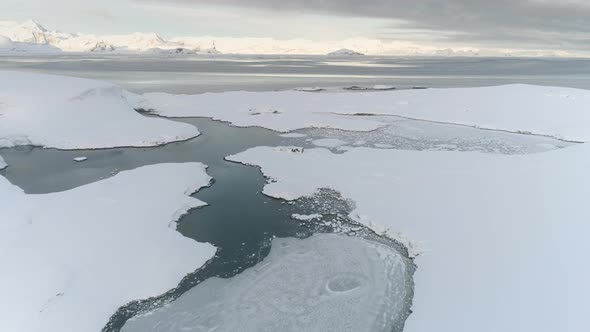 Antarctica Frozen Coast Aerial Drone Zoom in View