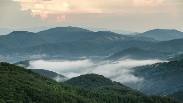 Misty Evening above Clouds Moving in Green Forest Valley