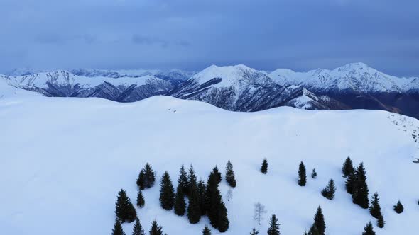 Aerial View of Dark Forest. in Background Snow Covered Mountain Range After the First Snowfall in