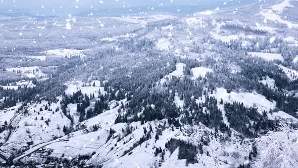 Snowfall in Winter Forest alt