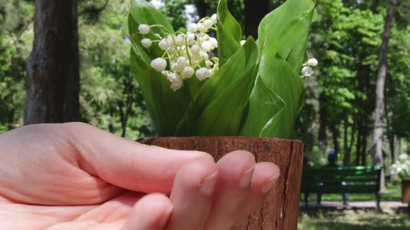 loving couple hold hands together on a park cafe table.lily of the valley background. close up 4k.fa