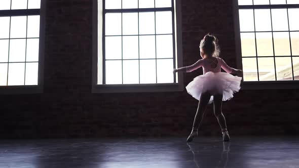 Child Little Ballerina in Pink Tutu Dancer