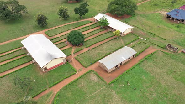 School compound in Ghana, Africa_1