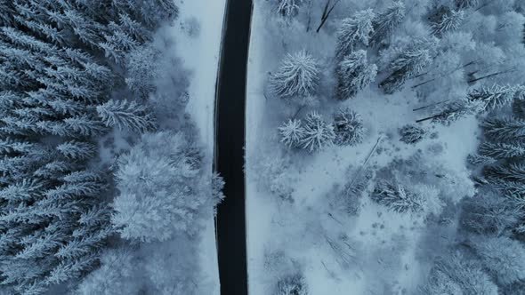 Cinematic Epic Aerial of Snowy Winter Forest Road