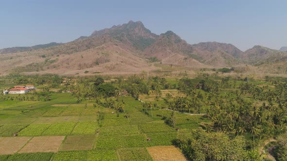 Agricultural Land in Indonesia