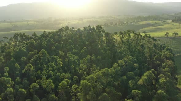 Sunset rural landscape aerial view. Nature scenery