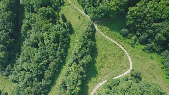 Aerial View of a Dirt Road in the Forest in the Middle of a Summer Sunny Day