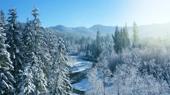 Winter in the Mountains