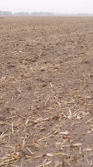 Vertical Video of a Field with Plowed Land in Autumn Slow Motion