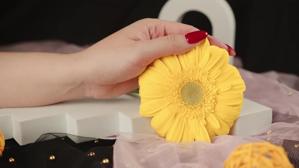 From Above of Crop Anonymous Women with Trendy Red Manicure Holds in His Hands Bright Yellow Gerbera