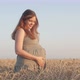 Pregnant happy red-haired woman touching her belly, future young mother walking at sunset - VideoHive Item for Sale