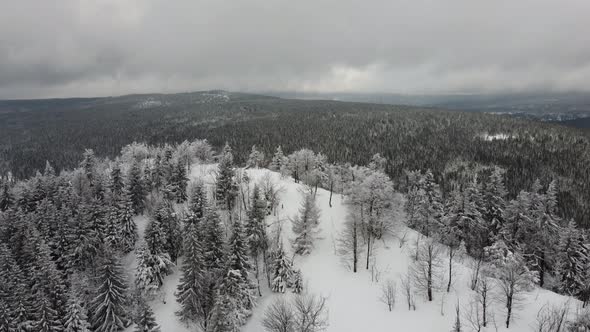 Aerial  view of a snowy mountain peak. forests