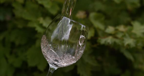 900114 Pink Wine being poured into Glass, Slow motion 4K