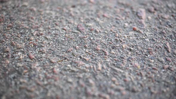 Macro Asphalt Background