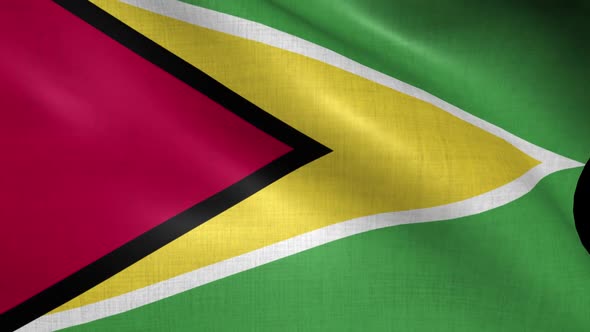 Guyana Flag