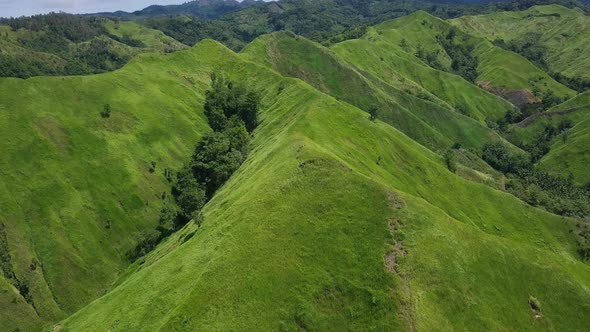 Flight over Green Grassy Rocky Hills