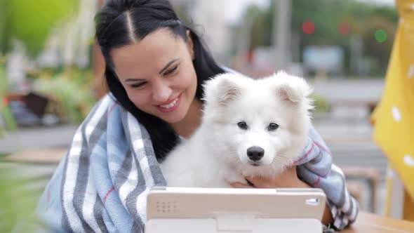Beautiful brunette with a dog uses a laptop and looks at it
