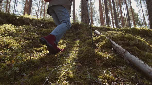 Elderly Female Hiker on Walk in Forest