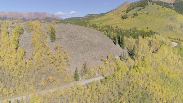 Fall foliage at Boreas Pass, CO